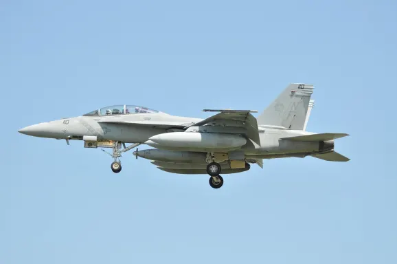 Kasyno Crypto Wild Wsparcie